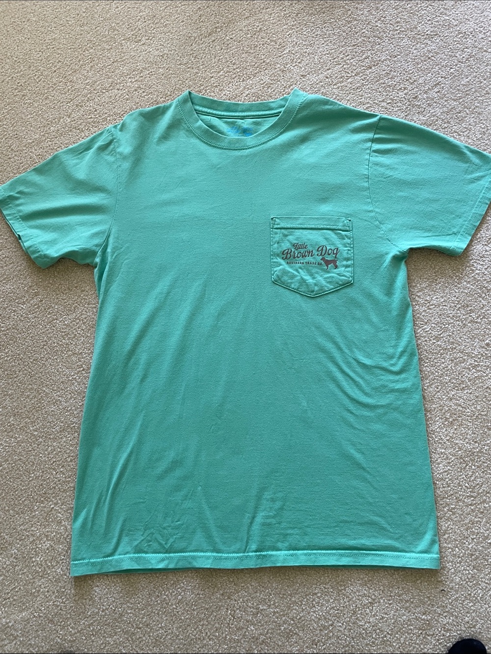 Little Brown Dog Short-Sleeve Pocket T-Shirt in Mint Green -